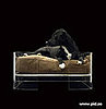 Mija Bed ($887)