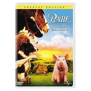 My 10 Fave Movies... Starring Animals! 