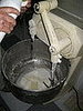 IMG_3118.JPG