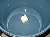 IMG_3371.JPG