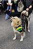 mardi_gras_barkus_parade-005