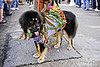 mardi_gras_barkus_parade-058