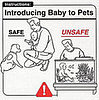 Introducing Baby to Pets