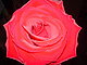 Naturalla's picture