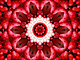 michlny's picture