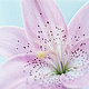 Fleura's picture