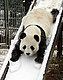 clare27's picture