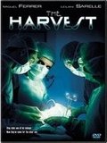 The Harvest