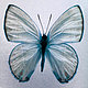 sandyp's picture