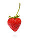fresita's picture