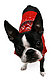 Lunasmydog's picture