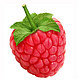 raspberry78's picture