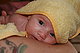 bluecat1972's picture