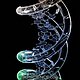 BioMom's picture