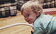 usernamelisa's picture