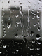sun bead's picture