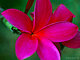 chelsea321's picture