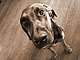 sarahcamp20's picture