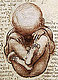 Dreamboat Baby's picture