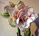 rocaille's picture