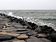 luvhouse07's picture