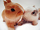 bunnychick's picture