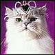 pixiepop's picture