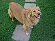 ruby's momma's picture