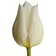 sunsun308's picture