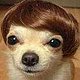 ajamiestarr's picture