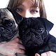 thepawhaus's picture