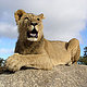 Satisfaction1688's picture
