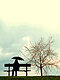 emaline's picture