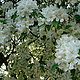 natalie12's picture
