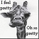 phyl4's picture