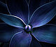 LaVida's picture