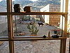 View From the Office