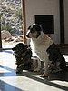 The Regal Duo
