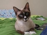 Penelope (Penny) aka Special Sauce