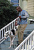 Go For a Walk
