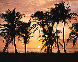 Five Places to Meet Guys Before Summer's End!