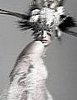 Girls on Film: Linda Evangelista by Steven Meisel