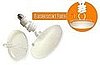 Compact Fluorescent Lights