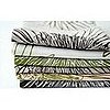 Cloth Napkins