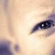 kribaby's picture