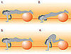 Push-Up With Tuck Crunch