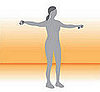 Lateral Arm Raises