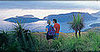 Register with Adventure Honeymoon 