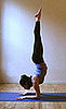 Forearm Stand