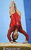Shawn Johnson 